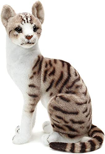 Tiger Tale Toys ( 타이거 테일 토이즈 ) 고양이 고양이 봉제인형 리얼 35센티 애완동물 고양이 캣 CAT 귀여운 소녀 사내 아이 (Shan묘)