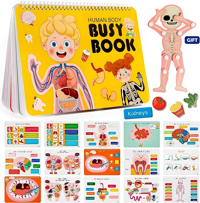 Freebear Montessori Busy Book for Kids, Human Body Anatomy Toddlers, Preshool Kindergarten Learning Activities, Autism Sensory Toys, Travel Gifts Girls and Boys 4 5 6 7 8 Years